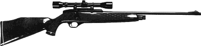 銃器見本写真